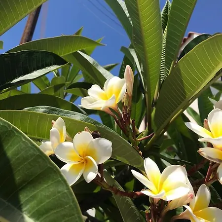 Cozy By The Sea Корал-Бэй